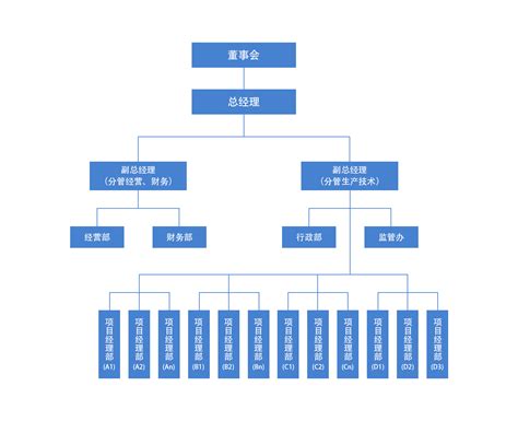 公司组织机构图 云南新迪建设工程项目管理咨询有限公司