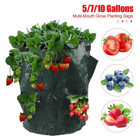 L Mouth Grow Bag Pocket Planting Bags Gallons Strawberry Tomato