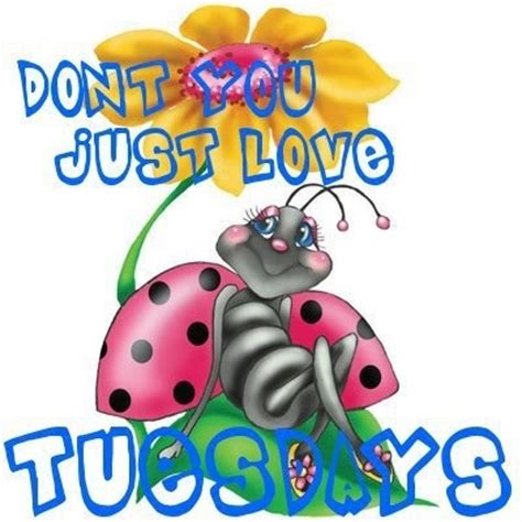 Funny Tuesday Clipart: Adding Humor to Your Weekly Plans