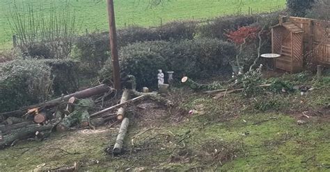 Tornado Destroys 150 Year Old Oak Tree As Villagers Describe