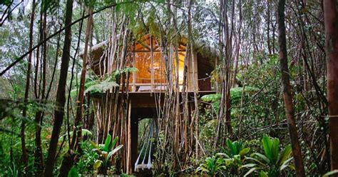 Best Treehouse Rentals On Airbnb For Fall Getaways 2018