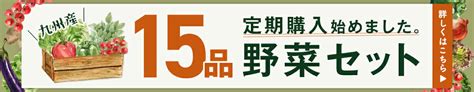 【楽天市場】＜あす楽＞九州野菜セット15品旬の野菜詰め合せ＜送料無料＞おまかせ詰め合わせセット！人気のセット！西日本＜セット＞ 野菜 野菜