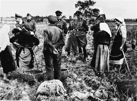 Украина. Жизнь под немцем: humus — LiveJournal