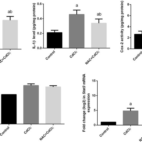 Protein Levels Of Cox 2 Tnf α And Il 1β And Mrna Expression Of Il1b