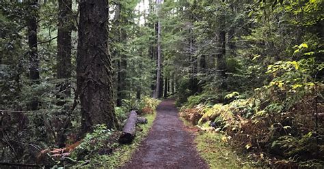 Hike Van Damme State Park, Little River, California