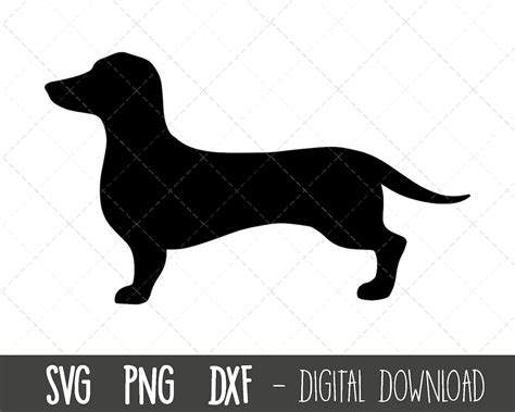 Dachshund Svg Dog Svg Dachshund Silhouette Dachshund Outline Png