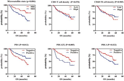 Kaplan Meier Overall Survival Curves Of PD1 PDL1 Expression Or CD8 T