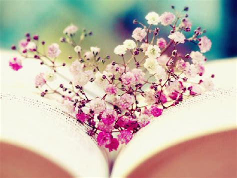 Book Wallpaper Reading Wallpaper 32699170 Fanpop