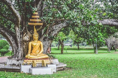 Hermosa Estatua De Buda De Color Dorado Sentado Bajo El Rbol Bodhi