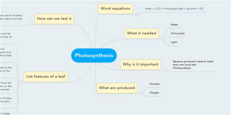 Photosynthesis Mindmeister Mind Map