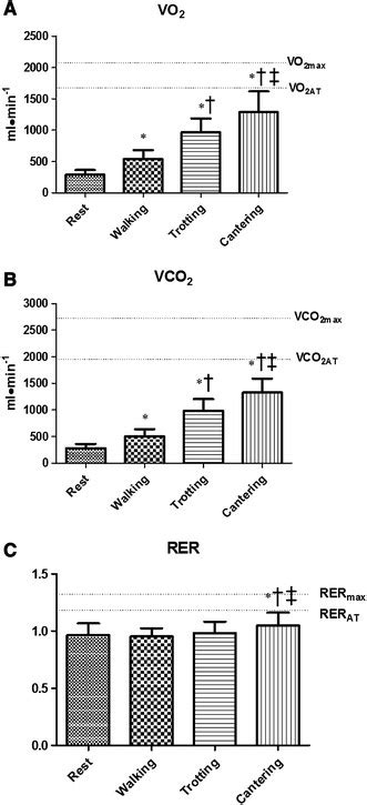 Group Average Level In Oxygen Uptake Vo 2 A Carbon Dioxide