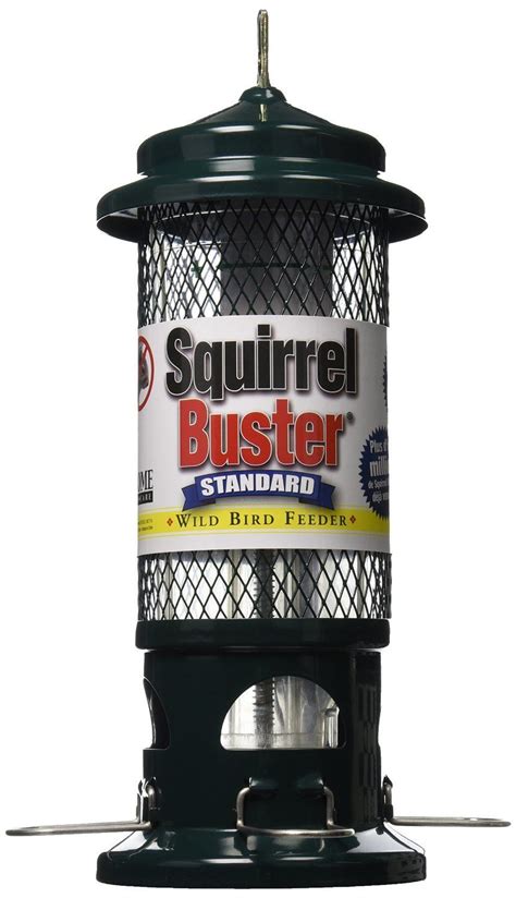 Top Three Best Squirrel Proof Bird Feeders in 2015