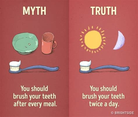 44 Myth Vs Reality Illustrations That Will Make You Think For A Change