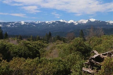 2021 Mount Shasta Spring Hiking Round Up – Hike Mt. Shasta