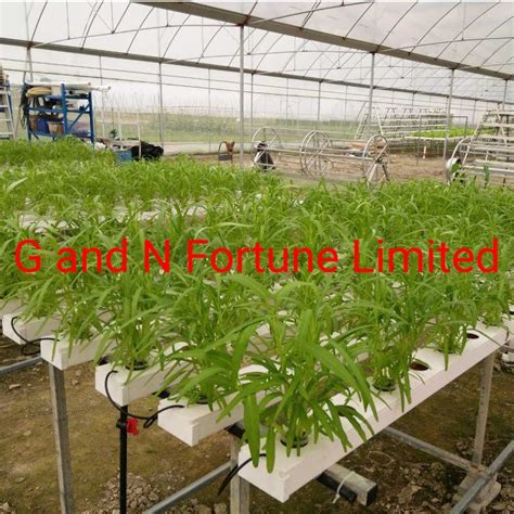 Nft Hydroponics System Vertical Aquaponics System For Sale China