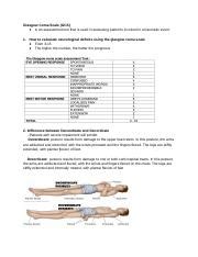 Neuro Study Guide Med Surg II 1 Docx Glasgow Coma Scale GCS Is An