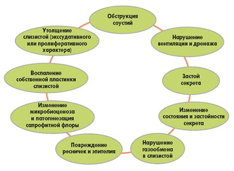 Хронический и острый риносинусит: симптомы и лечение у взрослых и детей ...