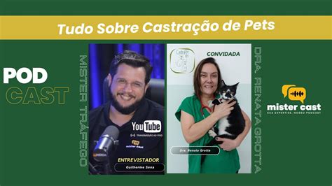 Os Benefícios da Castração Insights e Dicas Castra Pet BH YouTube