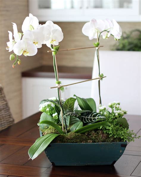 Howe We Live DIY Orchid Centerpiece | Howe We Live