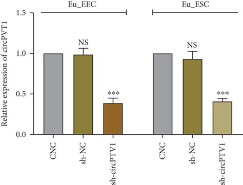 Knockdown Of Circpvt1 Repressed Ads Eutopic Endometrial Epithelial And Download Scientific