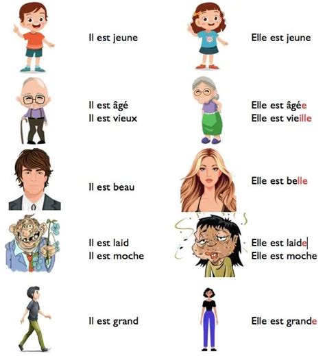 An Image Of Different Types Of People With Names In French And English