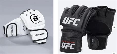 What is Bellator vs UFC Difference? - BJJaccessories