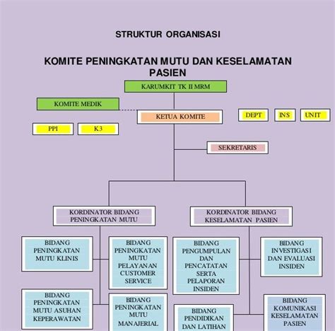 Struktur Organisasi Tim Manajemen Mutu Puskesmas Berbagai Struktur