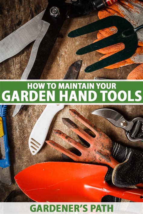 How To Maintain Your Garden Hand Tools