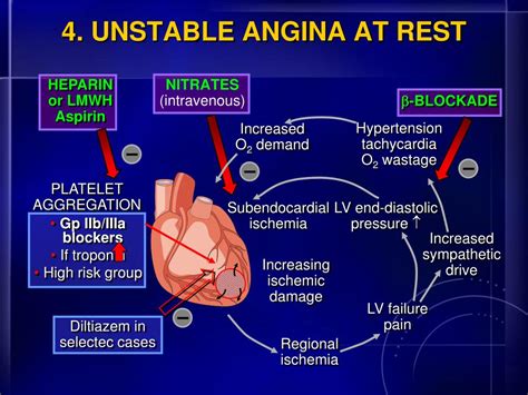 Ppt Beta Blocker For Reducing Cardiovascular Disease Powerpoint