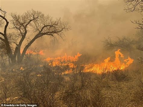 Smokehouse Creek Wildfire Is Largest In Texas History As 11 Million Acres Of Charred Panhandle