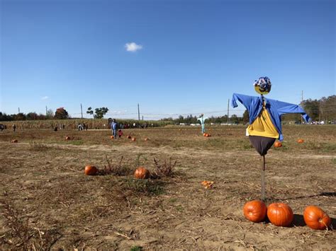 Terhune Orchards 330 Cold Soil Road Princeton Junction New Jersey