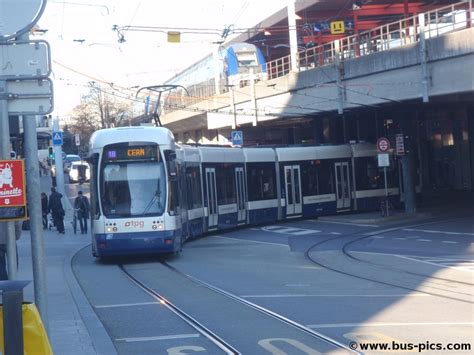 Gare Cornavin Ligne Tpg Bus Pictures