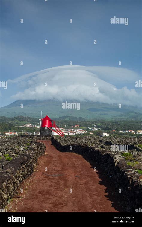 Portugal Azores Pico Island Criacao Velha Moinho Do Frade