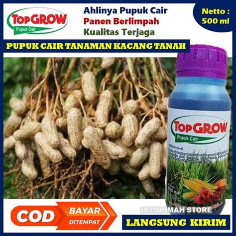 Jual Pupuk Pelebat Buah Kacang Tanah Top Grow Ml Pupuk Npk Cair