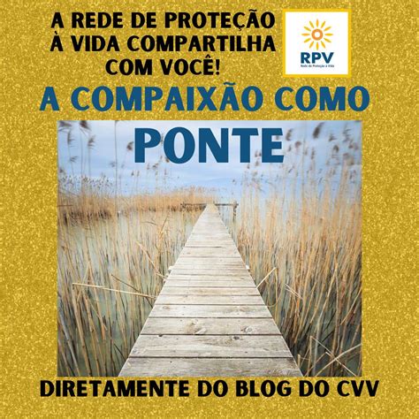 A compaixão como ponte blog CVV RPV Rede de Proteção a Vida