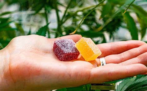 The Best Cannabis Edibles for Pain Relief - Rethink-Rx