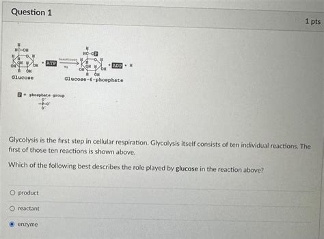 Solved Glycolysis is the first step in cellular respiration. | Chegg.com