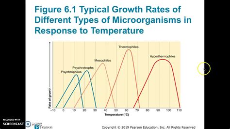 Physical Requirements For Microbial Growth Youtube