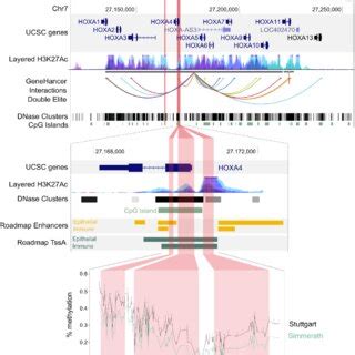 Genomic View Of The Hypermethylated Regions Located In The Hoxa Gene