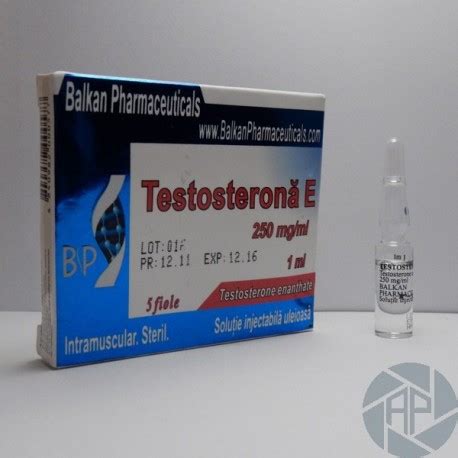 Testostérone E Balkan Pharma 250 mg ml 1 ml