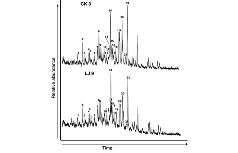 Representative Mz 217 Mass Chromatograms Showing The Distributions Of Download Scientific