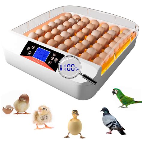 Buy Egg Incubators For Hatching Eggs With Led Light Fully Automatic