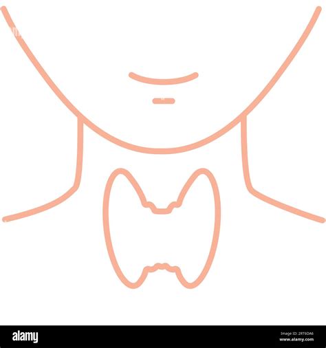 Healthy Thyroid Gland Body Organ Silhouette Line Icon Stock Vector