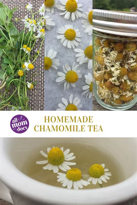 Homemade Chamomile Tea Allmomdoes