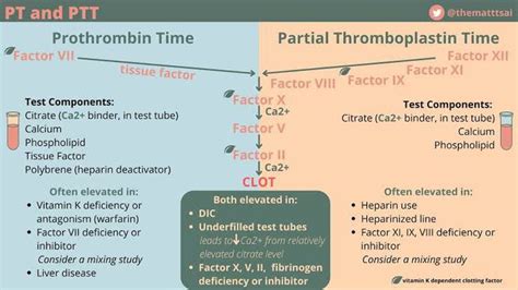 Coagulation Test MEDizzy