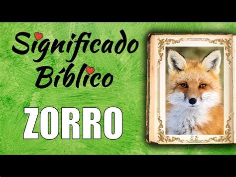 Zorra Zorro significado bíblico Qué significa según la Biblia