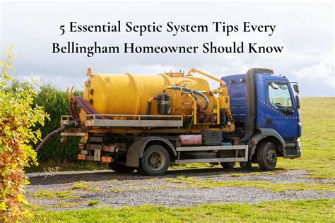 5 Essential Septic System Tips Every Bellingham Homeowner Should Know