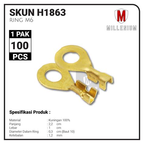 Jual TERMINAL SKUN BULAT RING M6 SKUN BULAT AKI M6 300 PAKET