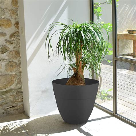 Pot Rond Cancun X Cm L Gris Anthracite Eda Plastique