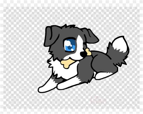 Border Collie Puppy Drawing